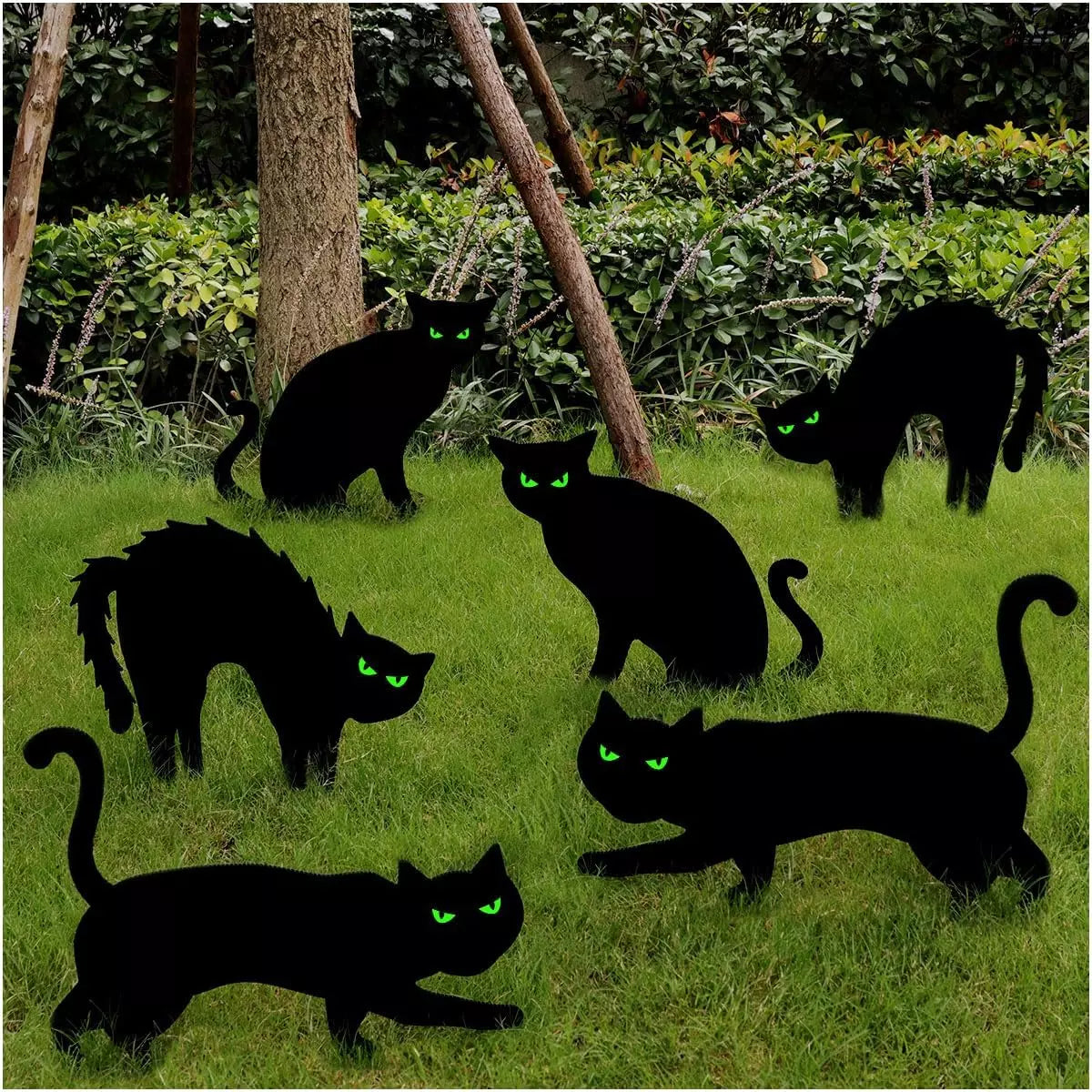 Healthadss ™ Halloween Decorations Outdoor, 6Ct Black Cat Decor Yard Signs with Stakes, Scar