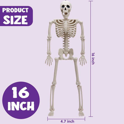 Healthadss ™ 5 PCS Posable Halloween Skeletons 16 Inches Full Body Posable Joints Hanging Skeletons for Graveyard Decorations, Haunted House Accessories, Spooky Scene Party Favors